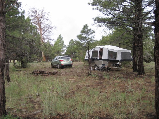 Flag trip'10