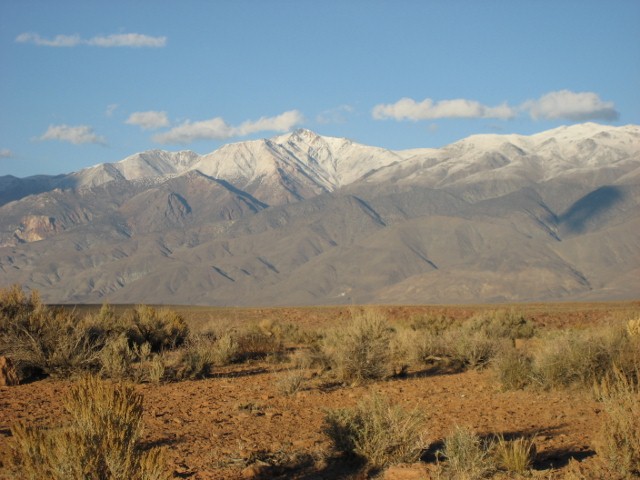 Bishop 2010