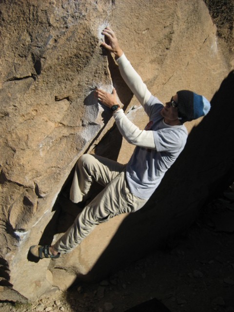 Bishop 2010