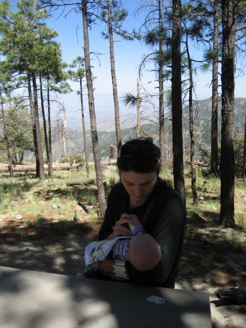 Henry - Mt. Lemmon