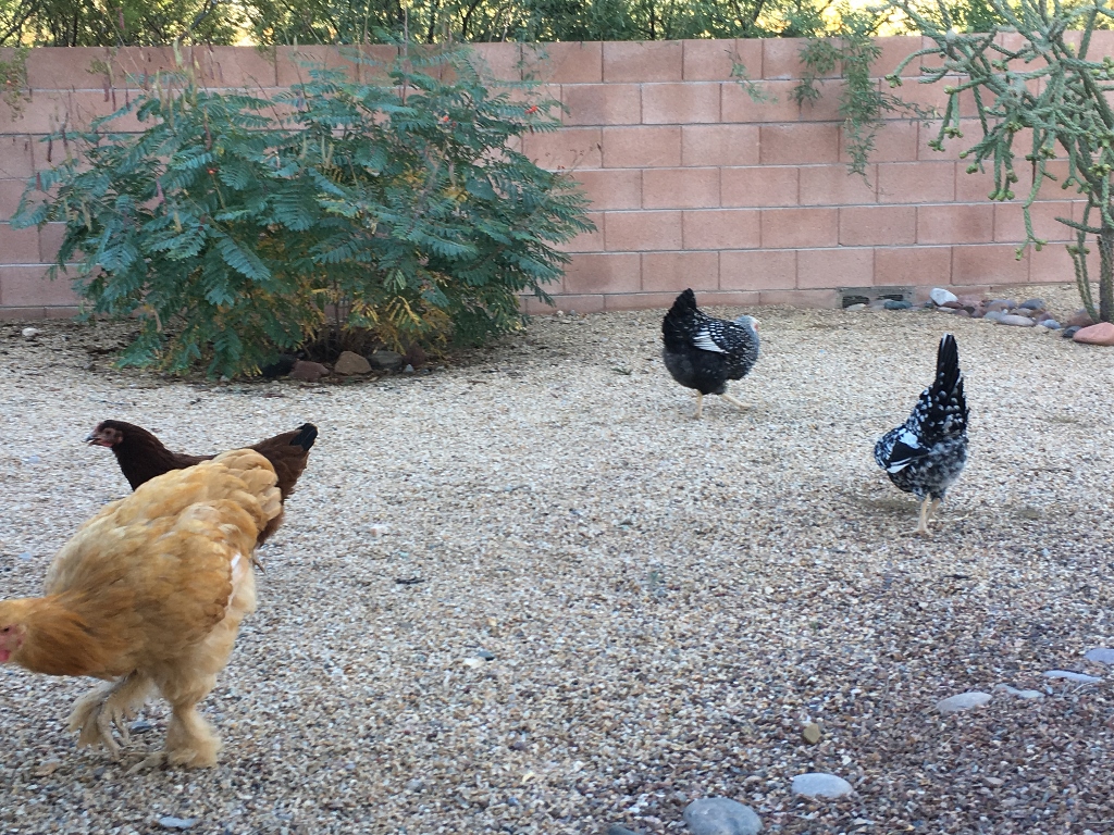 Here they are in September